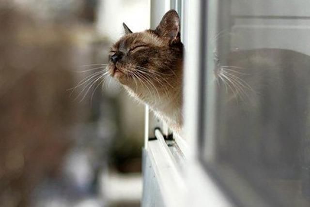 Погода на 15 грудня в Україні: суттєве потепління Погода на 15 грудня в Україні: суттєве потепління