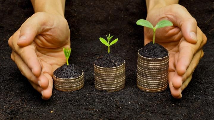 Парламент відмовився запустити ринок землі: кому вигідний мораторій Парламент відмовився запустити ринок землі: кому вигідний мораторій