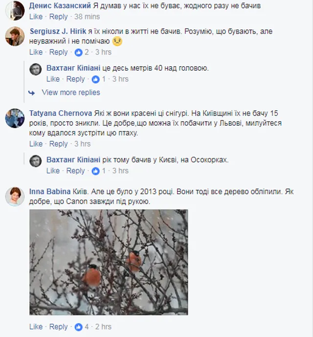 Снігурі, пропаганда, ЗМІ, Львів, бандерівці Снігурі, пропаганда, ЗМІ, Львів, бандерівці