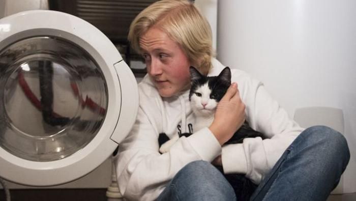 Кот выжил после экстремальной стирки Кот выжил после экстремальной стирки