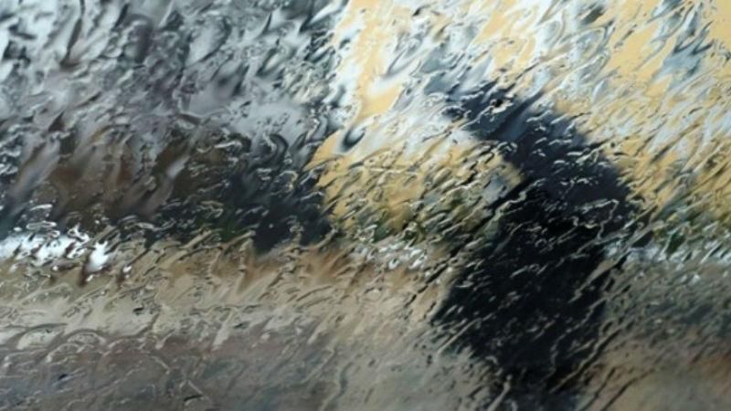 На Украину надвигается шторм: порывы ветра и сильный дождь На Украину надвигается шторм: порывы ветра и сильный дождь