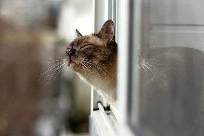 Теплая зима: в Киеве погода побила рекорд 136-летней давности Теплая зима: в Киеве погода побила рекорд 136-летней давности