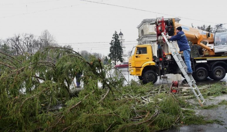 Украинская елка стала посмешищем в центре Кишинева: скандал набрал обороты Украинская елка стала посмешищем в центре Кишинева: скандал набрал обороты