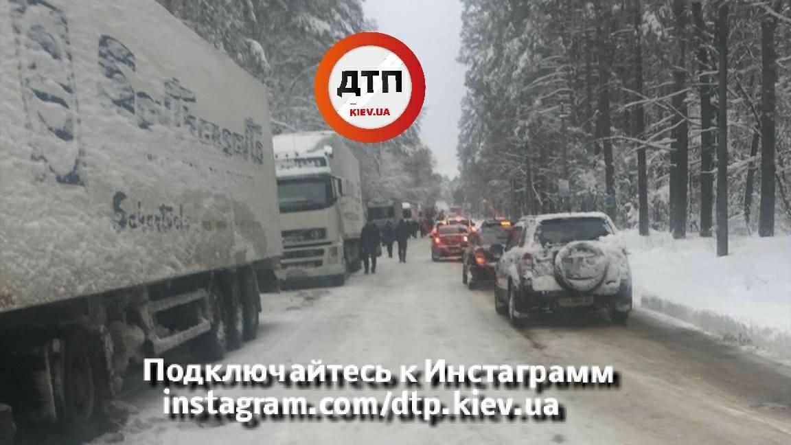 На трассе под Киевом на авто упало дерево: фото На трассе под Киевом на авто упало дерево: фото