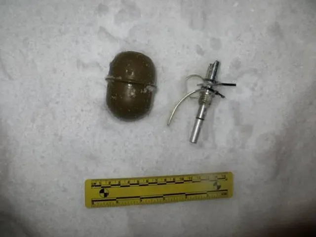 Граната, Київ, зброя, кримінал чиновник Граната, Київ, зброя, кримінал чиновник