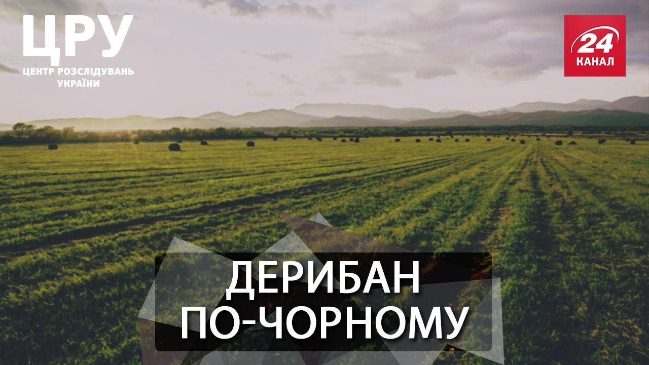 Миллиард в карман: кто дерибанит особенно ценную государственную землю Миллиард в карман: кто дерибанит особенно ценную государственную землю