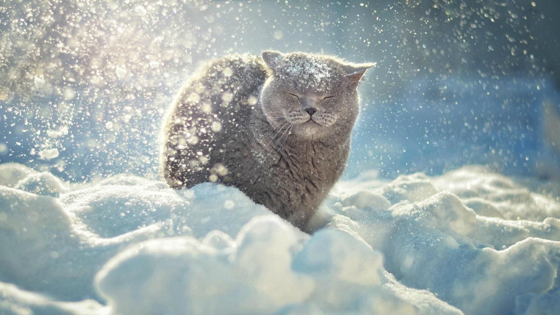 Погода 21 декабря в Украине: снежно, холодно и скользко