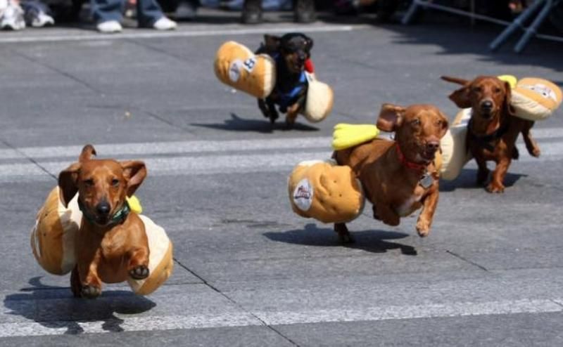 Виявилось, що вона звичайна, – чоловік у Києві викликав поліцію через "неправильну" сосиску Виявилось, що вона звичайна, – чоловік у Києві викликав поліцію через "неправильну" сосиску