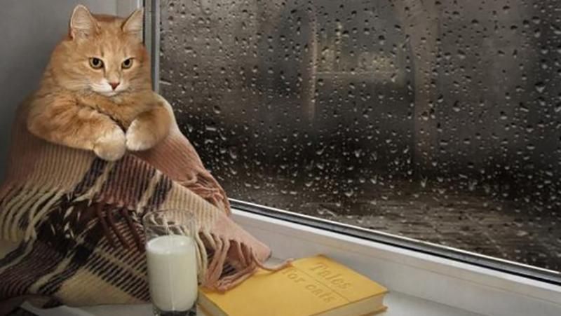 Погода на 25 грудня в Україні: прогноз від синоптиків Погода на 25 грудня в Україні: прогноз від синоптиків