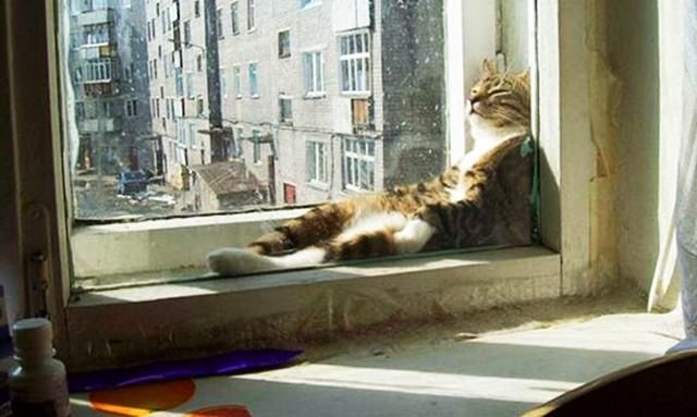 Прогноз погоди на 26 грудня в Україні від синоптиків Прогноз погоди на 26 грудня в Україні від синоптиків