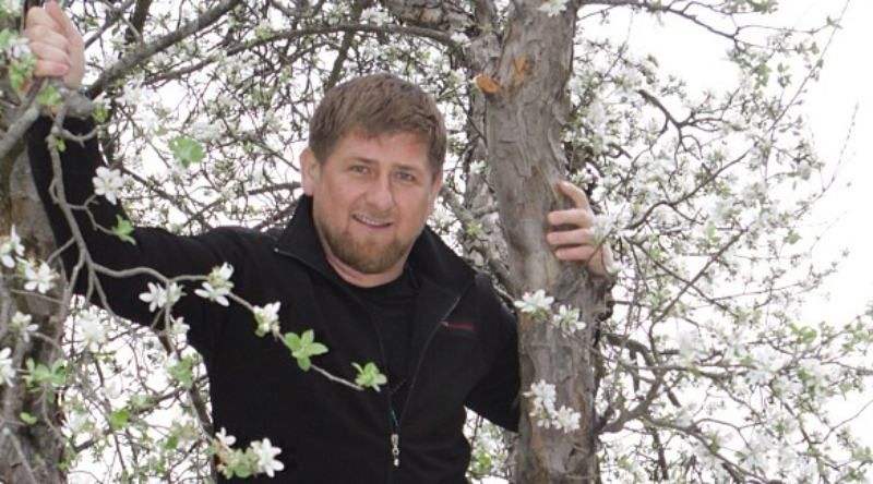 Instagam Кадырова попал под санкции, на него совершили кибератаку, – власти Чечни