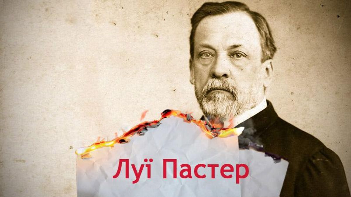 Одна история. С каким вопросом к Пастеру обращались французские виноделы -  24 Канал