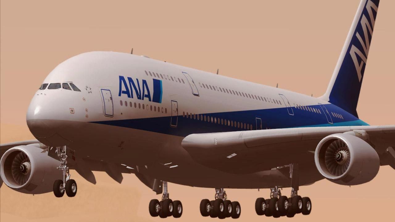 Преодолев полпути, самолет развернулся назад из-за "нездешнего" пассажира Преодолев полпути, самолет развернулся назад из-за "нездешнего" пассажира