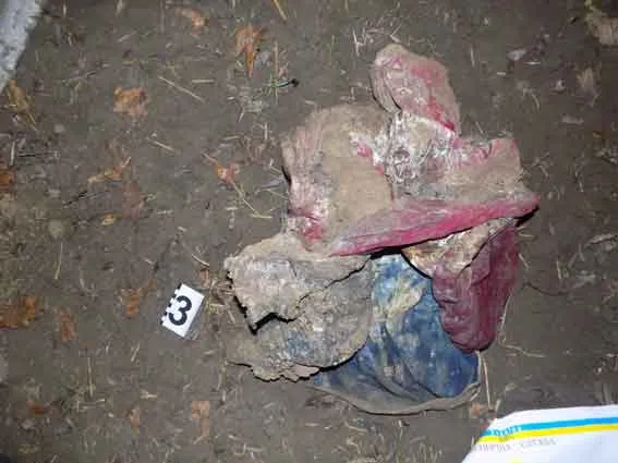 Біля траси Одеса-Рені знайшли закопаними два трупи Біля траси Одеса-Рені знайшли закопаними два трупи