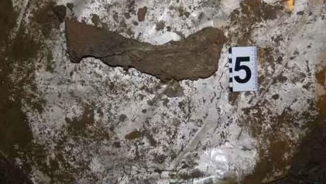 Страшная находка: возле трассы Одесса-Рени нашли закопанными два трупа Страшная находка: возле трассы Одесса-Рени нашли закопанными два трупа