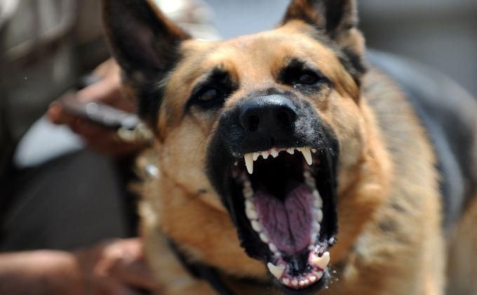 Цькували собаками та знущалися: чотирьох кримчан етапували в Росію