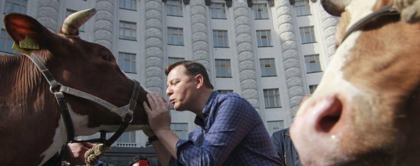 Если бы политики поздравляли украинцев с Новым годом: курьезное видео