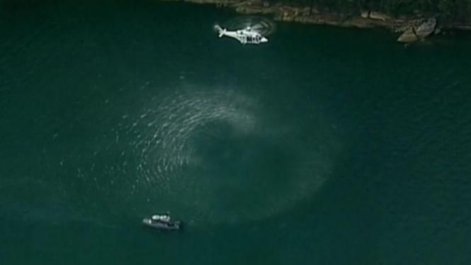 Літак з людьми впав у річку в Австралії: багато загиблих Літак з людьми впав у річку в Австралії: багато загиблих