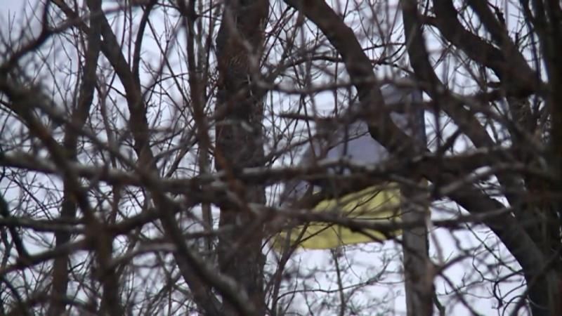 Як цивільні та військові медики працюють у тандемі, рятуючи поранених на передовій
Як цивільні та військові медики працюють у тандемі, рятуючи поранених на передовій