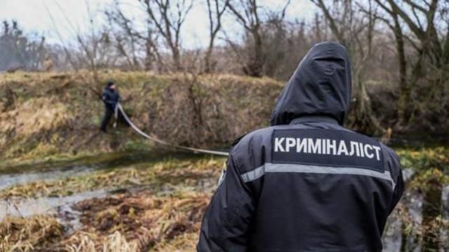 В полиции отчитались о расследовании убийства правозащитницы Ирины Ноздровской