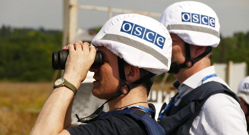 У звітах ОБСЄ закладено багато мін для України, – експерт