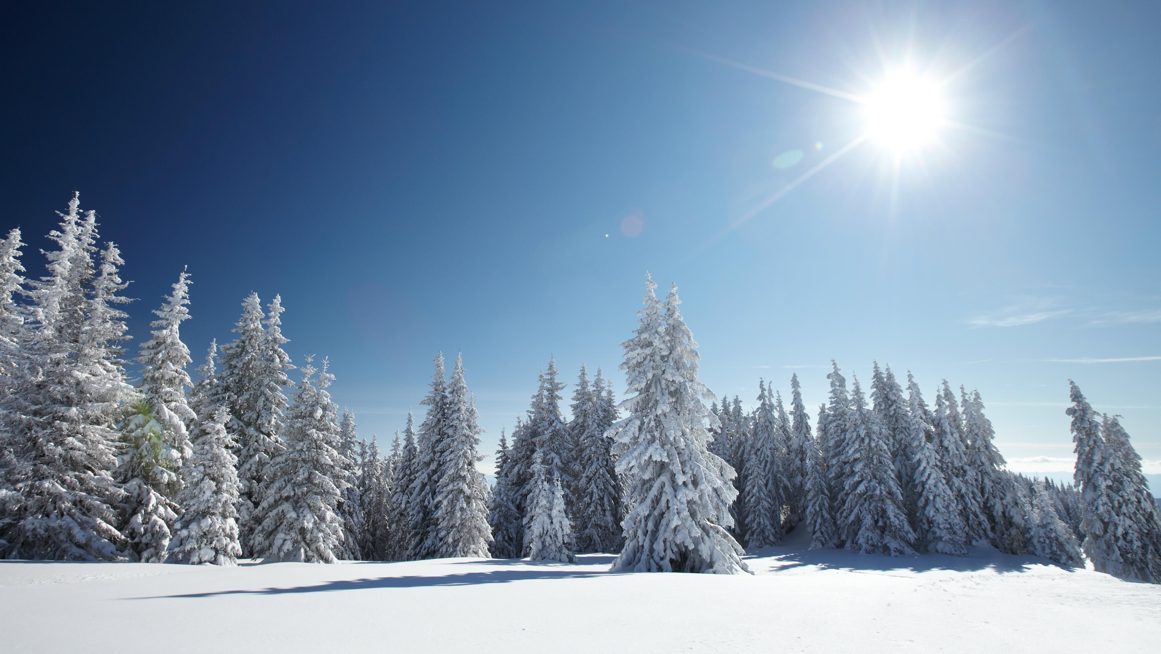 Погода на 12 січня в Україні - зимове сонце