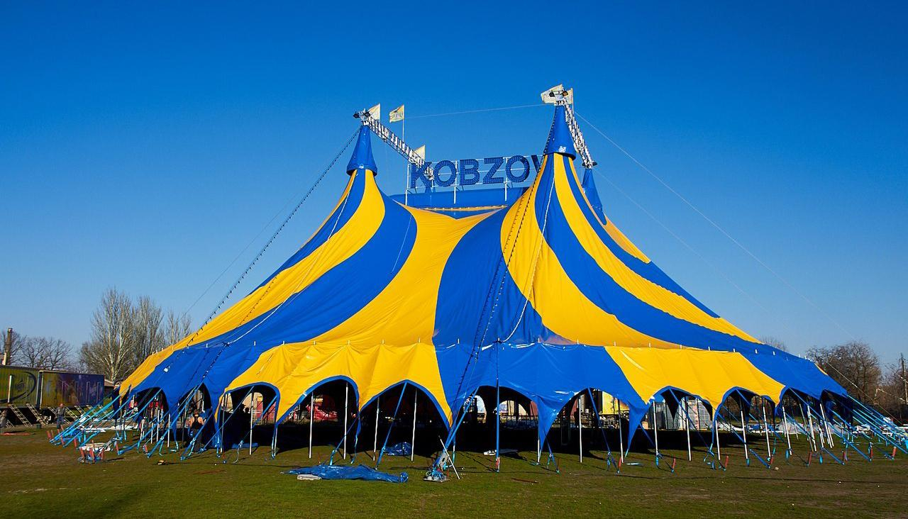 В Киеве цирк, где дети заразились корью, продолжает работу, несмотря на запрет, – СМИ