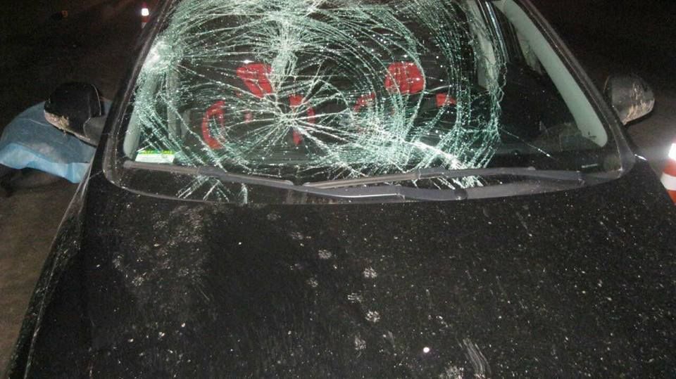 П’яний водій збив подружжя на Львівщині: жінка загинула на місці