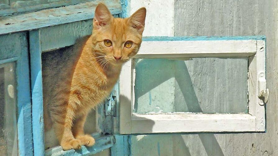 Когда ощутимо потеплеет: прогноз от синоптика Когда ощутимо потеплеет: прогноз от синоптика