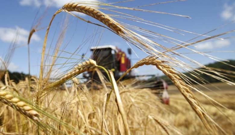 Украина за 5 дней 2018 года полностью выбрала квоты на экспорт пшеницы и кукурузы в страны ЕС