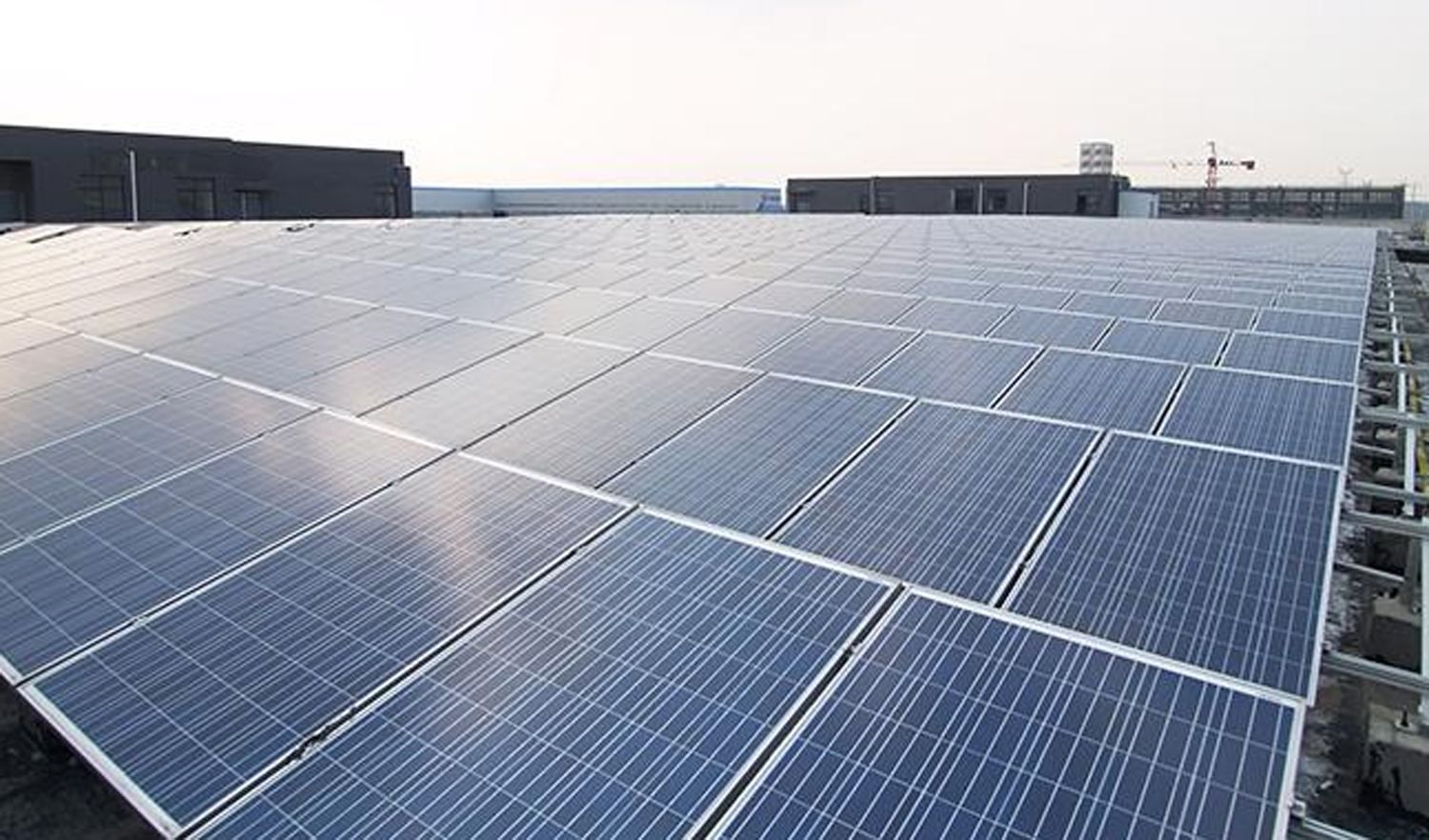 Фонд держмайна здає в оренду Чорнобильські землі Фонд держмайна здає в оренду Чорнобильські землі