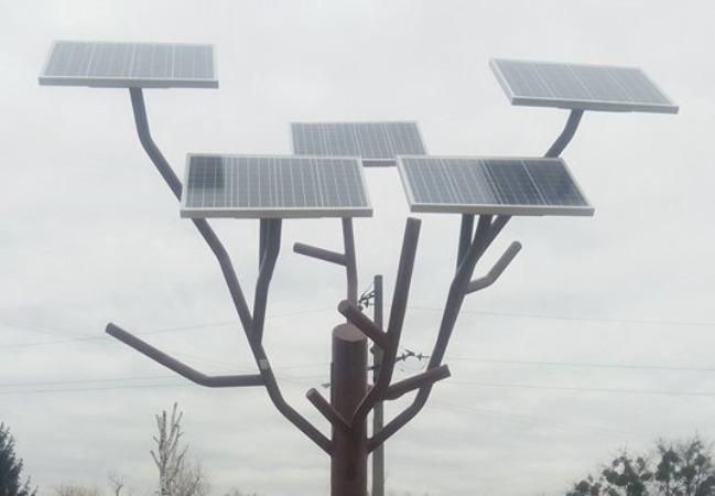 Фотофакт: У селі на Черкащині з'явилось дерево, від якого можна заряджати гаджети Фотофакт: У селі на Черкащині з'явилось дерево, від якого можна заряджати гаджети