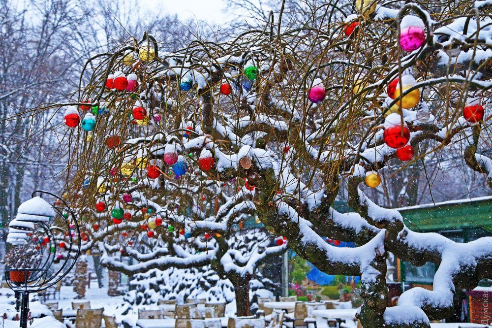 Погода в Одессе: фото как Одессу засыпало снегом Погода в Одессе: фото как Одессу засыпало снегом