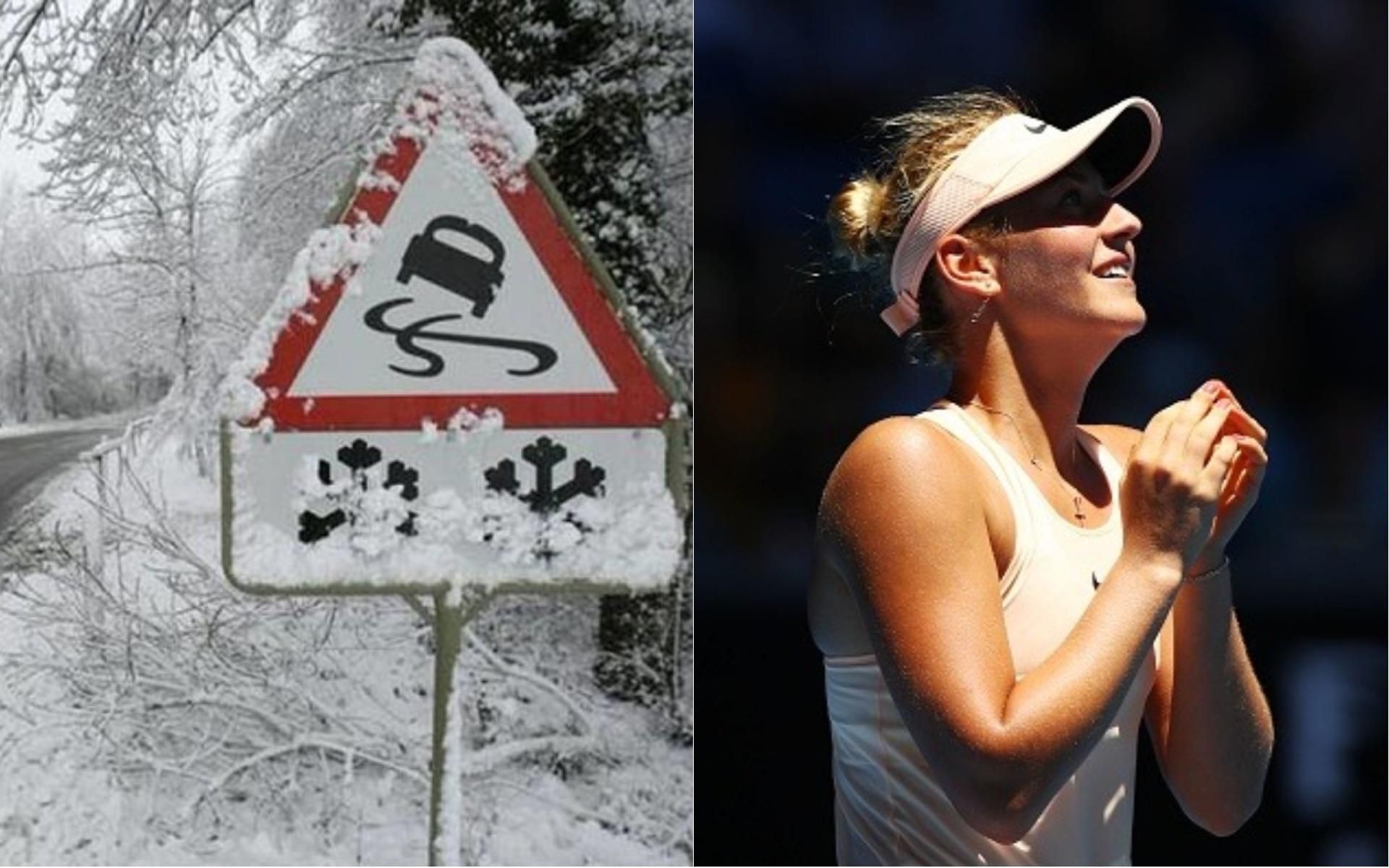 Новини України за 17 січня: новини України і світу Новини України за 17 січня: новини України і світу