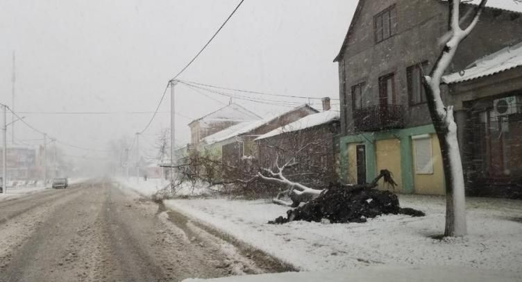 Негода в Україні: половина Одещини залишається без світла