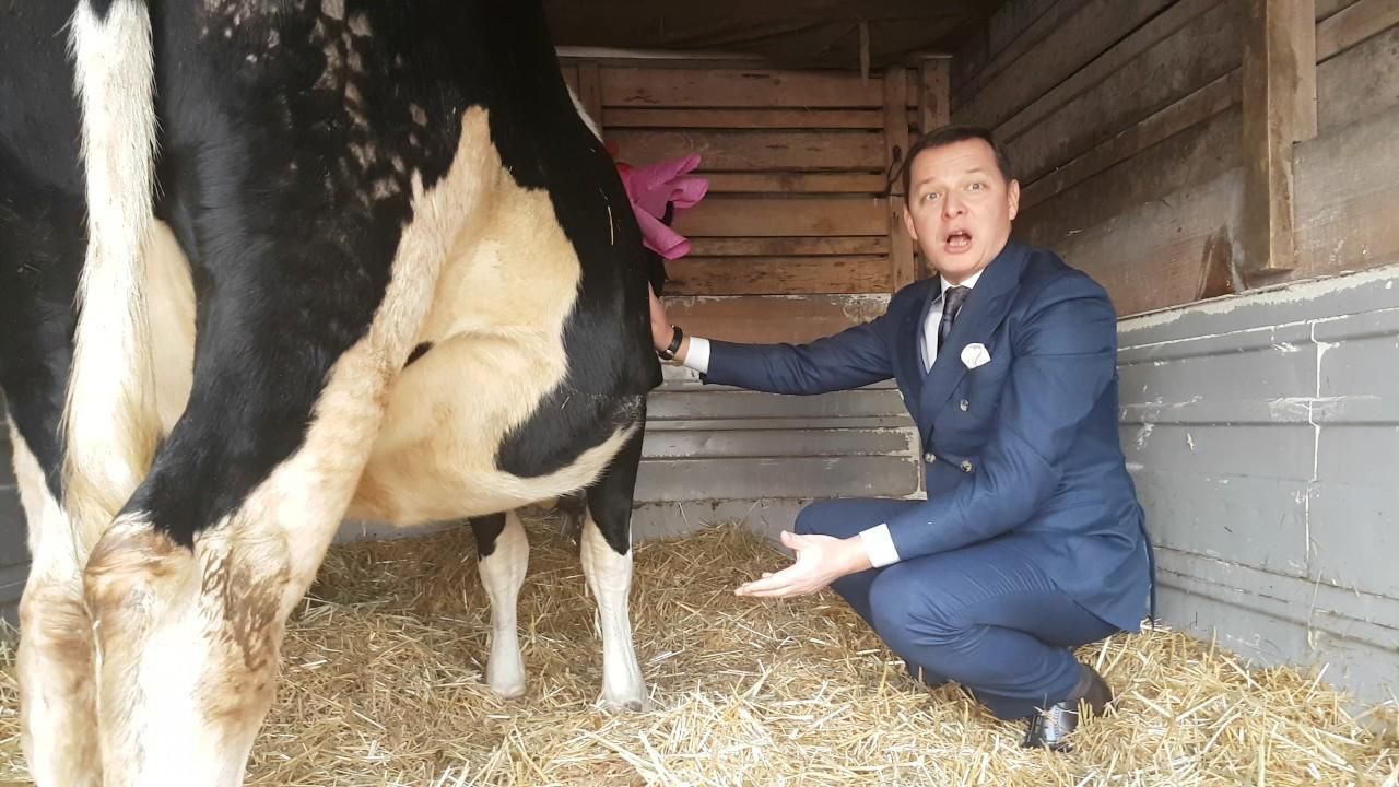 "Цицкадзе, Цинцинадзе": Ляшко выдал очередной перл "Цицкадзе, Цинцинадзе": Ляшко выдал очередной перл