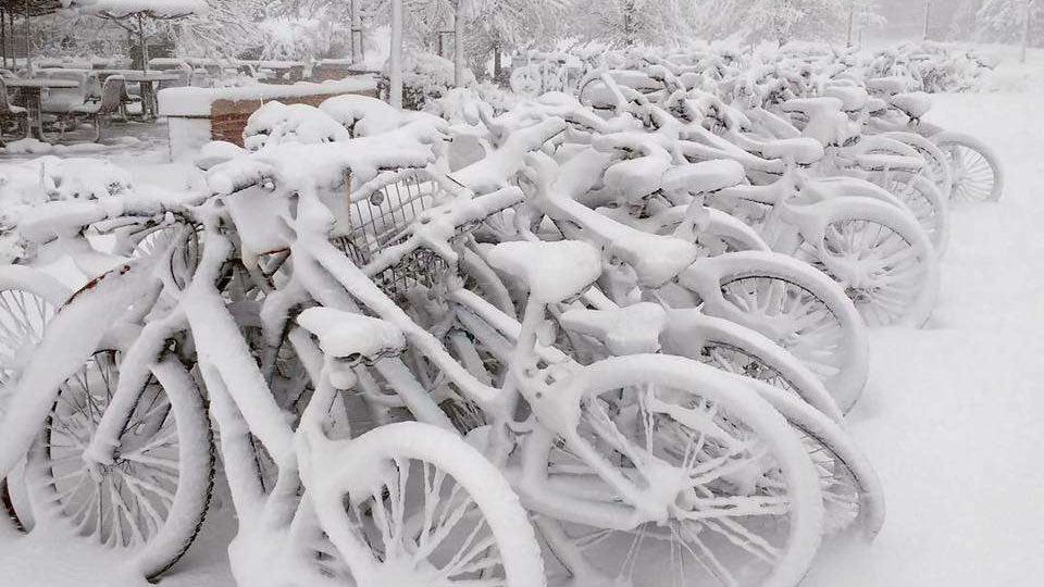 Днепр замело снегом: в сети публикуют фото зимней сказки