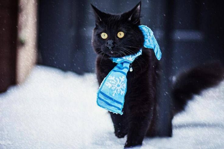 Неделя будет холодной, – синоптик рассказала, к чему готовиться украинцам
