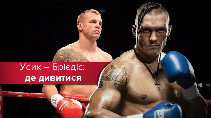 Бой Усик – Бриедис: когда и где смотреть
