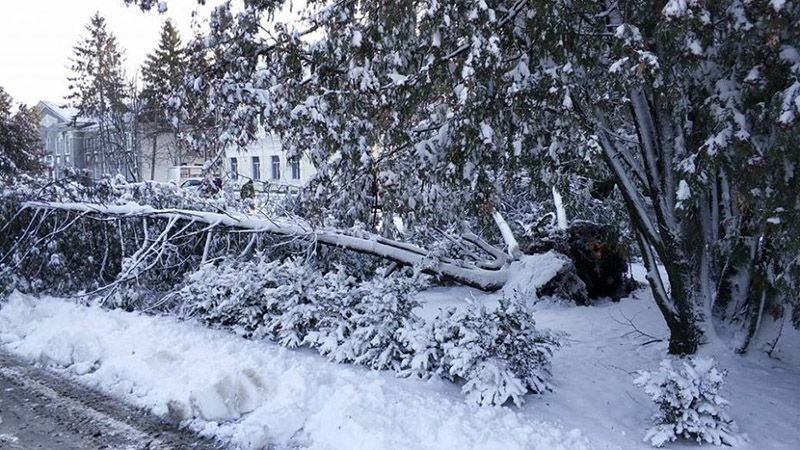 В Черкассах люди нашли способ, как с пользой преодолеть последствия непогоды