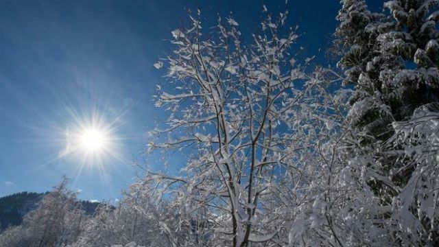 Погода 25 січня в Україні - йде антициклон