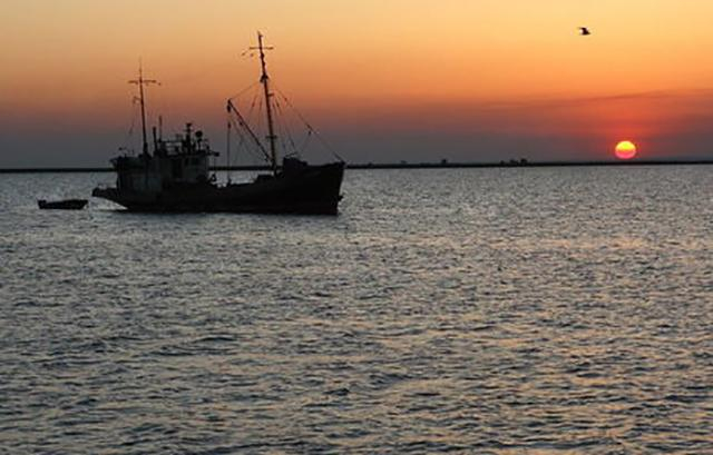 Судно Восток исчезло в Японском море с украинцами на борту