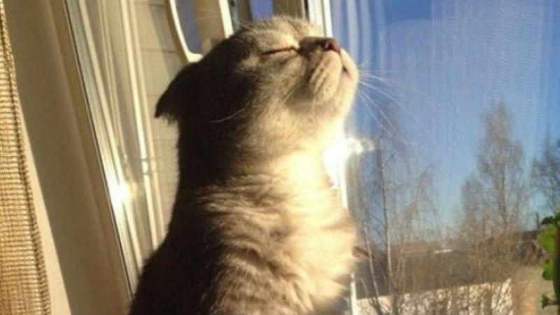 Прогноз погоды на 28 января в Украине от синоптиков Прогноз погоды на 28 января в Украине от синоптиков