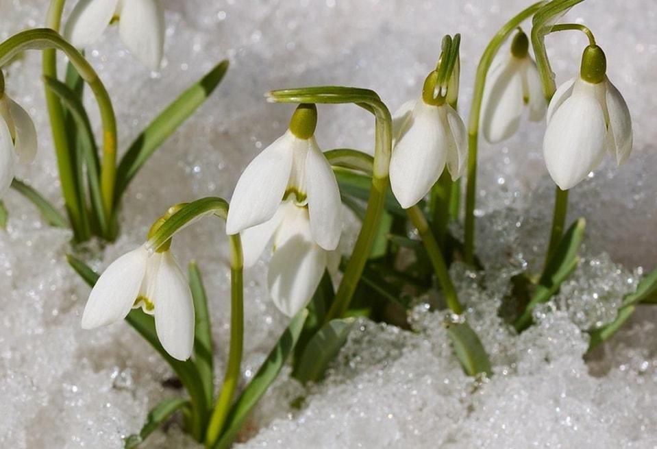 Погода 29 січня в Україні - прогноз погоди від синоптиків Погода 29 січня в Україні - прогноз погоди від синоптиків