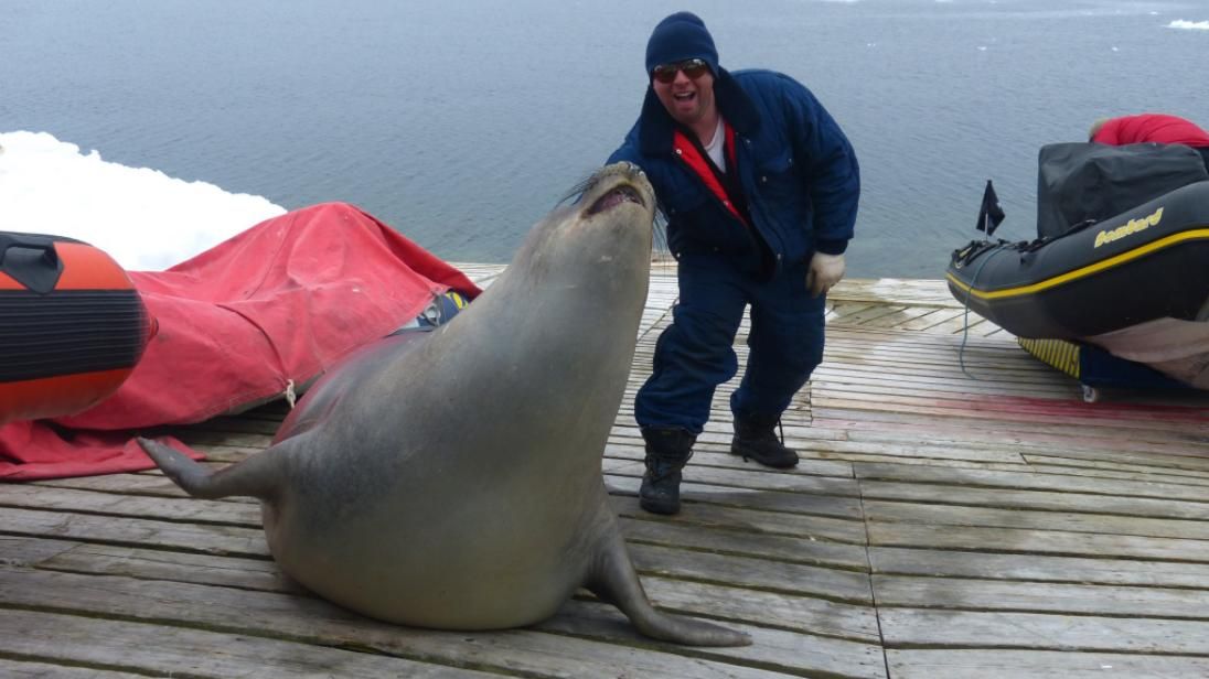 Морской котик задремал в лодке украинских полярников: забавные фото Морской котик задремал в лодке украинских полярников: забавные фото