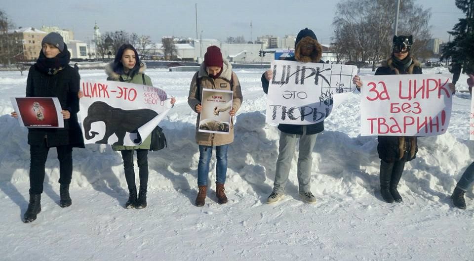 Цирк без животных: активисты вышли на акции протеста в Киеве и Харькове (фото и видео)