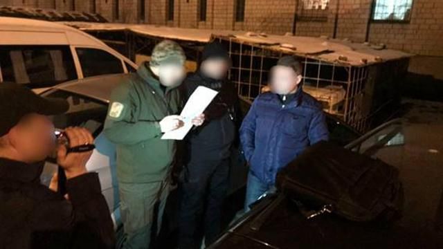 Львовские полицейские погорели на системном взяточничестве