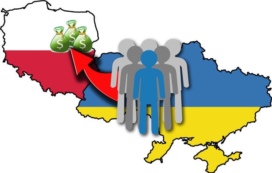 Польща не обійдеться без дешевих робочих рук з України, – голова польського Нацбанку Польща не обійдеться без дешевих робочих рук з України, – голова польського Нацбанку