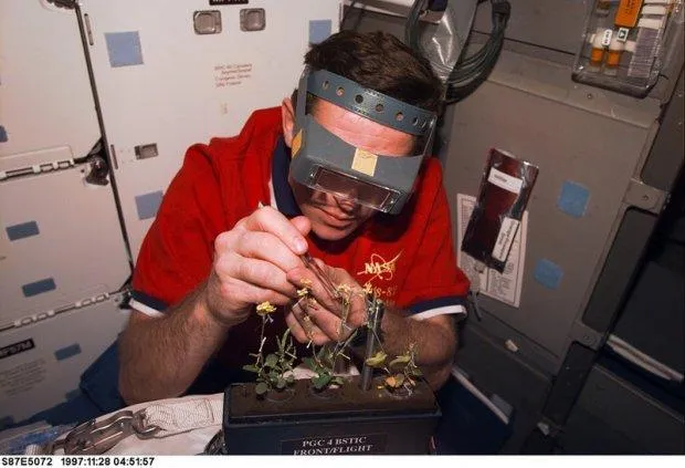 Помер Леонід Каденюк Помер Леонід Каденюк