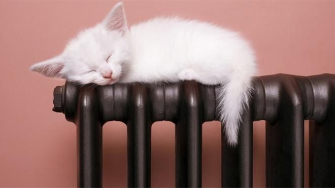 Городской власти Славутича удалось договориться с "Нафтогазом", поставки газа возобновили Городской власти Славутича удалось договориться с "Нафтогазом", поставки газа возобновили